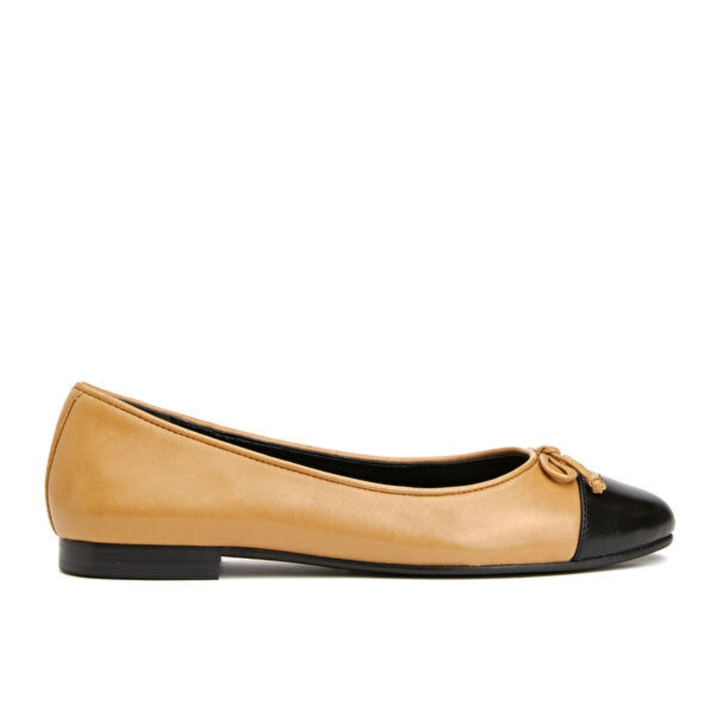 Tory Burch Cap-Toe Ballet Cream&Black Babet